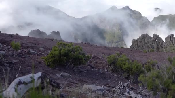 Sebuah Pemandangan Udara Dari Kabut Mengambang Atas Madeira Portugal — Stok Video