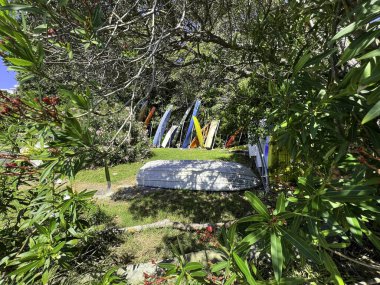 Limandaki limanda, deniz kıyısında, Sydney 'deki Hermitage Point' teki bitki ve ağaçların arasına park etmiş birçok tekne var.