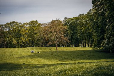 Marly-le-Roi 'deki Domaine National de Marly Park' ın baharda manzarası