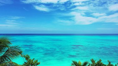 Ağaçların çerçevesinden kristal berrak okyanusun hava aracı görüntüsü.