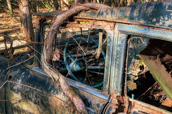 Belo Tiro Velho Carro Enferrujado Encontrado Floresta Com Videiras Crescendo — Fotografia de Stock