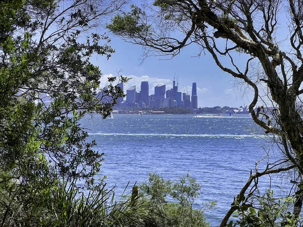 Beautiful Shot Cityscape Sydney Blue Sky Bright Sunlight Trees Plants Royalty Free Stock Images