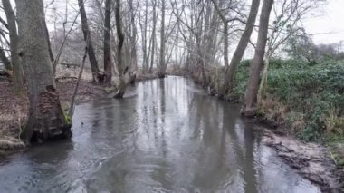 Ormanın ortasındaki akan nehrin hava aracı görüntüsü.