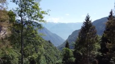 Güneşli bir duadaki güzel orman dağlarının hava aracı görüntüsü.