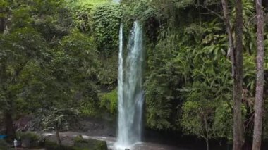 İlkbaharda Endonezya, Lombok Adası 'ndaki bir şelalenin büyüleyici insansız hava aracı görüntüleri.