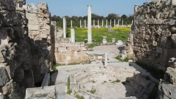 Krásný Výhled Ruiny Salamis Famagustě Severní Kypr — Stock video