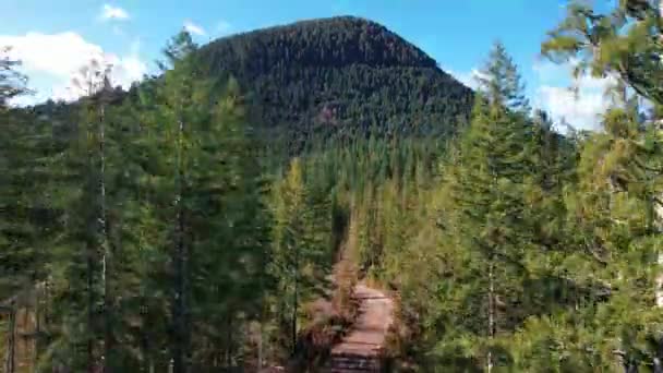 加拿大不列颠哥伦比亚省温哥华岛狗山的高清 — 图库视频影像