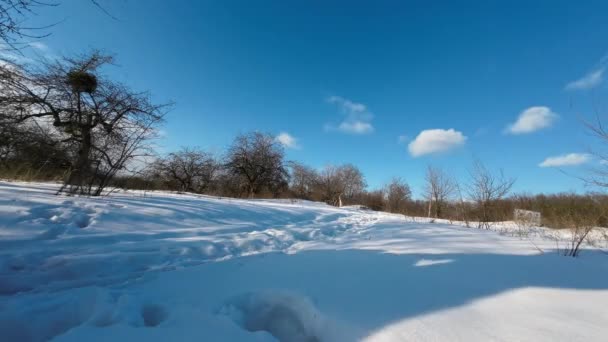 深い雪の中を通り過ぎるAtv車の映像 — ストック動画