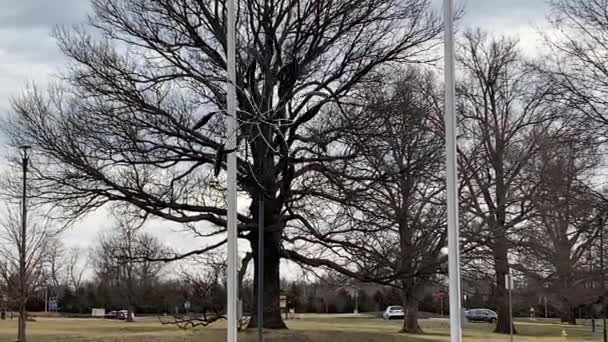 Außenansicht Der Windmühle Olathe Community Center Kansas City Usa — Stockvideo