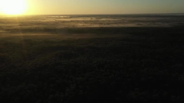 Орбита Дрона Выстрела Над Лесом Восходе Солнца — стоковое видео