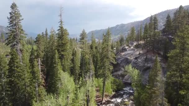 Drone Footage Forested Mountains River Mammoth Lakes California — Stock Video