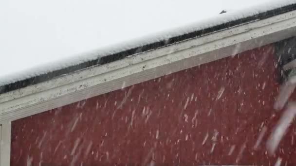 Záběry Sněhové Bouře Jaře Lappeenrantě Finsku — Stock video