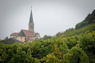 a photo of cathedral behind of forest