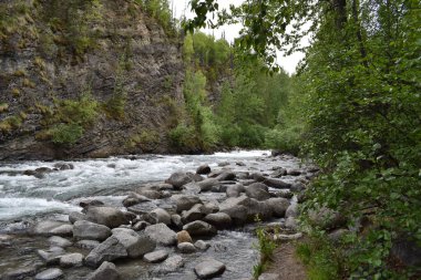 Alaska, Anchorage dağlarında akan kayalık bir derenin güzel bir görüntüsü.