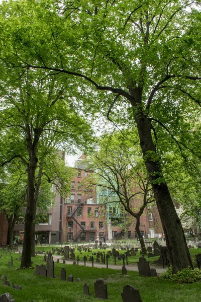 Een Verticaal Schot Van Groene Bomen Het Kerkhof Met Gebouwen — Stockfoto