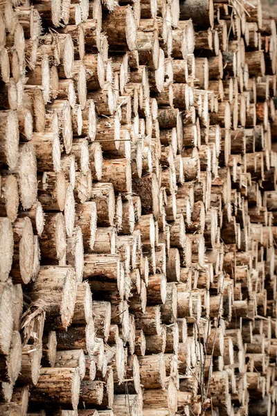 Een Verticaal Close Van Een Stapel Van Stammen Rangschikte Elkaar — Stockfoto