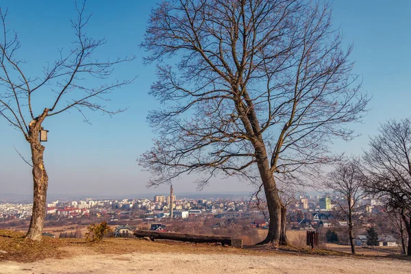 Die Blattlosen Bäume Auf Trockenem Boden Und Das Stadtbild Mit — Stockfoto