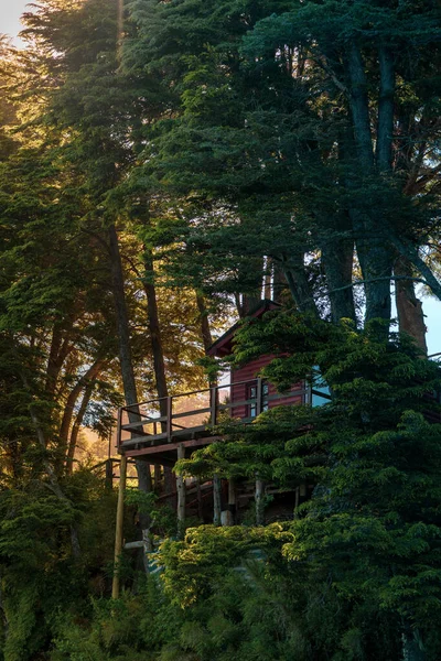Ένα Ξύλινο Αγροτικό Σπίτι Στο Πυκνό Δάσος Πράσινα Δέντρα — Φωτογραφία Αρχείου