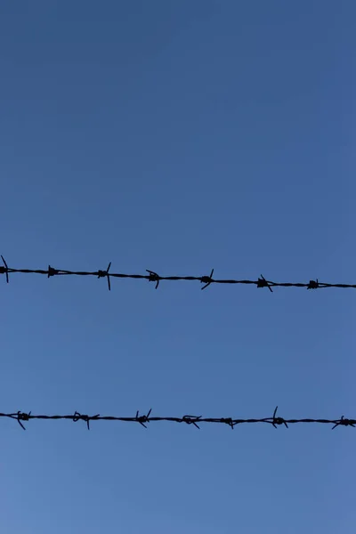 Een Verticaal Schot Van Draden Gevlochten Draden Lucht — Stockfoto