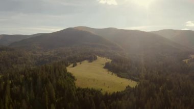 Ukrayna 'daki yeşil orman ve açıklıklarla kaplı Karpat dağlarının hava manzarası.