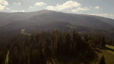 Yeşil orman ve gladyatörlerle kaplı Karpat dağlarının hava manzarası.