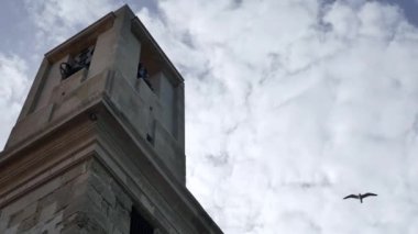 Bulutlu bir gökyüzüne karşı eski bir binanın yakınında uçan bir kuşun güzel alçak açılı görüntüsü.