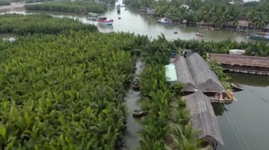 Hoi An, Vietnam 'daki Mau Körfezi Hindistan cevizi ormanının havadan görünüşü.