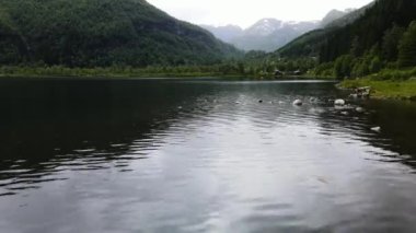 Norveç 'teki bir ormanın yakınında güzel bir göl.