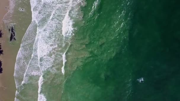 Drohnenaufnahmen Vom Yara Strand Trinidad — Stockvideo