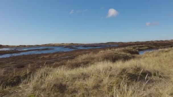 Een Drone Shot Van Een Waterplas Het Midden Van Een — Stockvideo