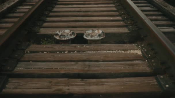 Detailní Pohled Železniční Trať — Stock video