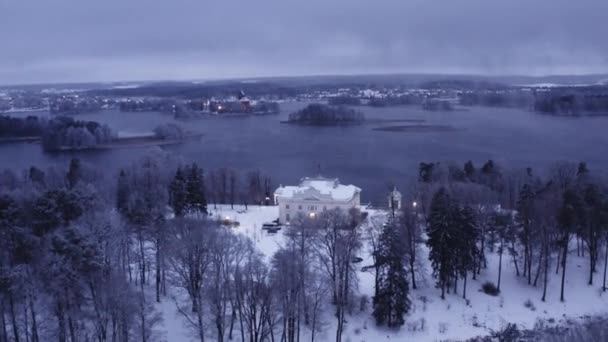 Una Cámara Aérea Lenta Uzutrakis Manor Rodeada Árboles Congelados Cerca — Vídeo de stock
