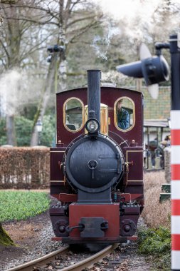 Tema parkında bir buhar treni.