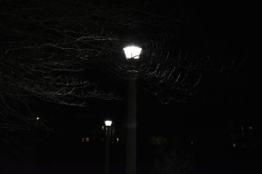 Illinois Eyalet Üniversitesi 'nde Işıklar Polonyalı