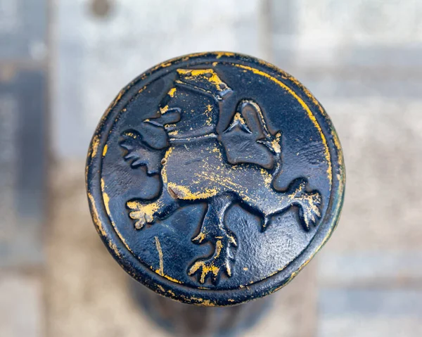 ライオンのシンボルを持つ古代のコインのトップビュー — ストック写真