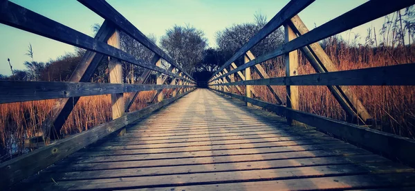 Uma Ponte Madeira Velha Que Conduz Aos Bosques Outono — Fotografia de Stock