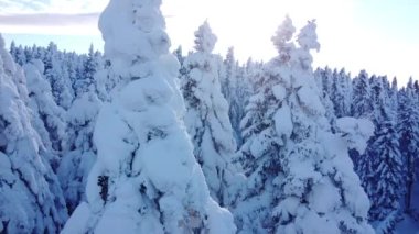 Kışın karla kaplı güzel bir manzara.