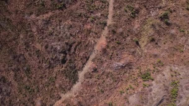 Aerial View Rural Area Canada — Stock Video