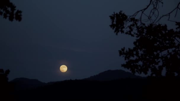 山の尾根の上の満月の望遠レンズで撮影された風景前景に風が吹くオークの葉 — ストック動画