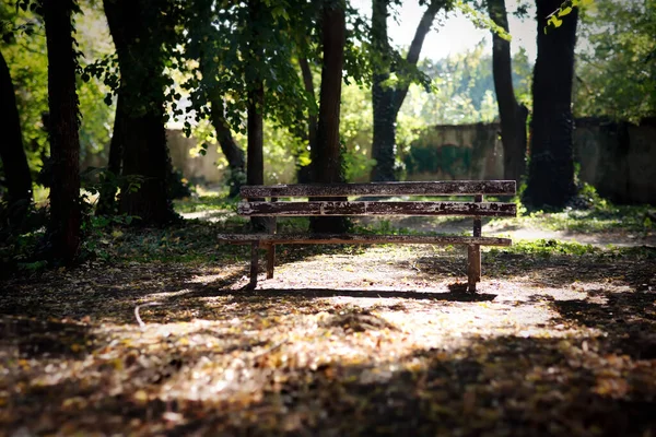 Uma Bela Vista Velho Banco Parque — Fotografia de Stock