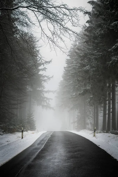 Une Vue Niveaux Gris Parc Hiver Allemagne — Photo