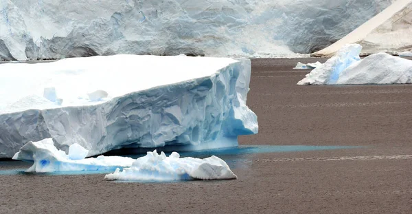 A broken piece of an iceberg floating on the water of Antarctic ocean