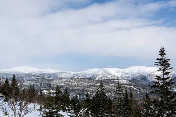 산기슭에 소나무 상록수 눈으로 구름낀 — 스톡 사진