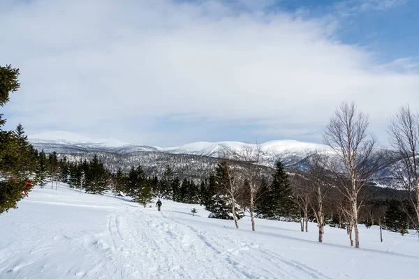 Linda Paisagem Inverno Vale Montanha Floresta Montanhas Cobertas Neve Céu — Fotografia de Stock