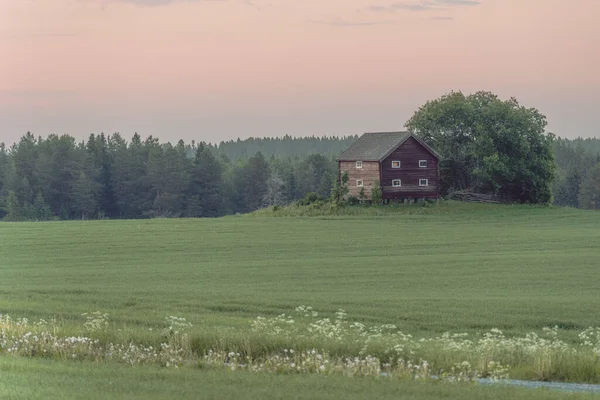 背景に木のあるスウェーデンの田舎の茶色の木造コテージの家 — ストック写真
