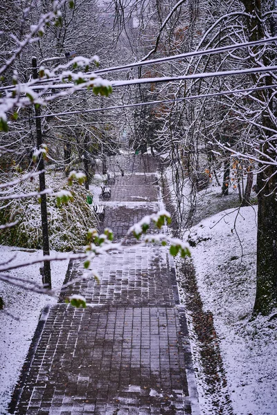 Caminho Coberto Neve Durante Inverno Cluj Roménia — Fotografia de Stock