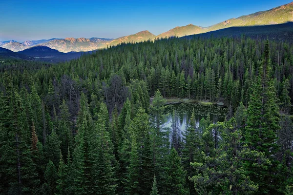 Lago Ninfa Través Pinos Parque Nacional Las Montañas Rocosas Colorado —  Fotos de Stock