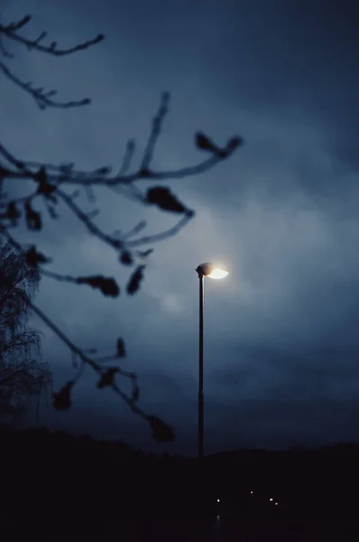 Selective Focus Shot Illuminated Street Lamp Blur Tree Branches Foreground — Stock Photo, Image