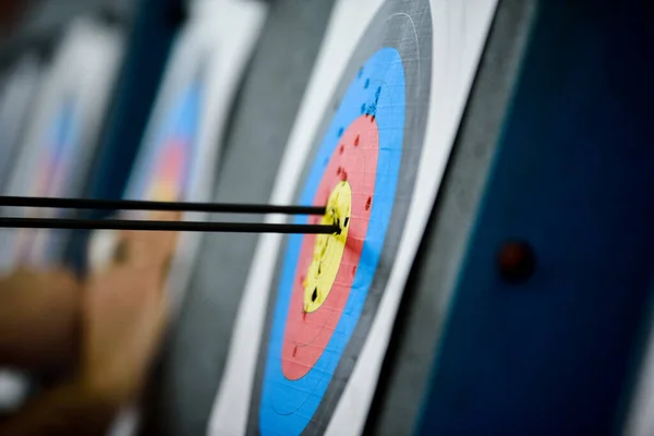 The arrows hit to the center of the target - business success, investment goal, achievement concept