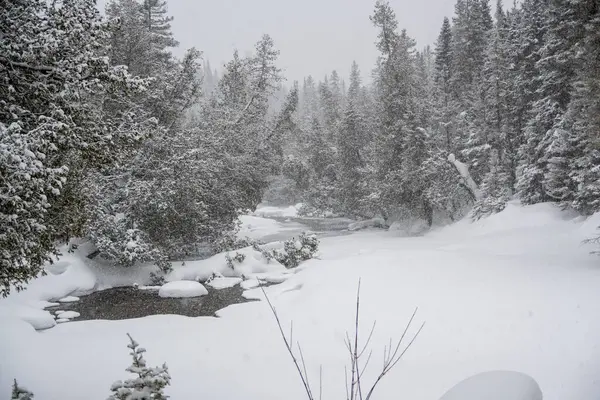 Красивий Чорно Білий Фон Сніжного Пейзажу Деревами Замерзлою Річкою Хмарами — стокове фото